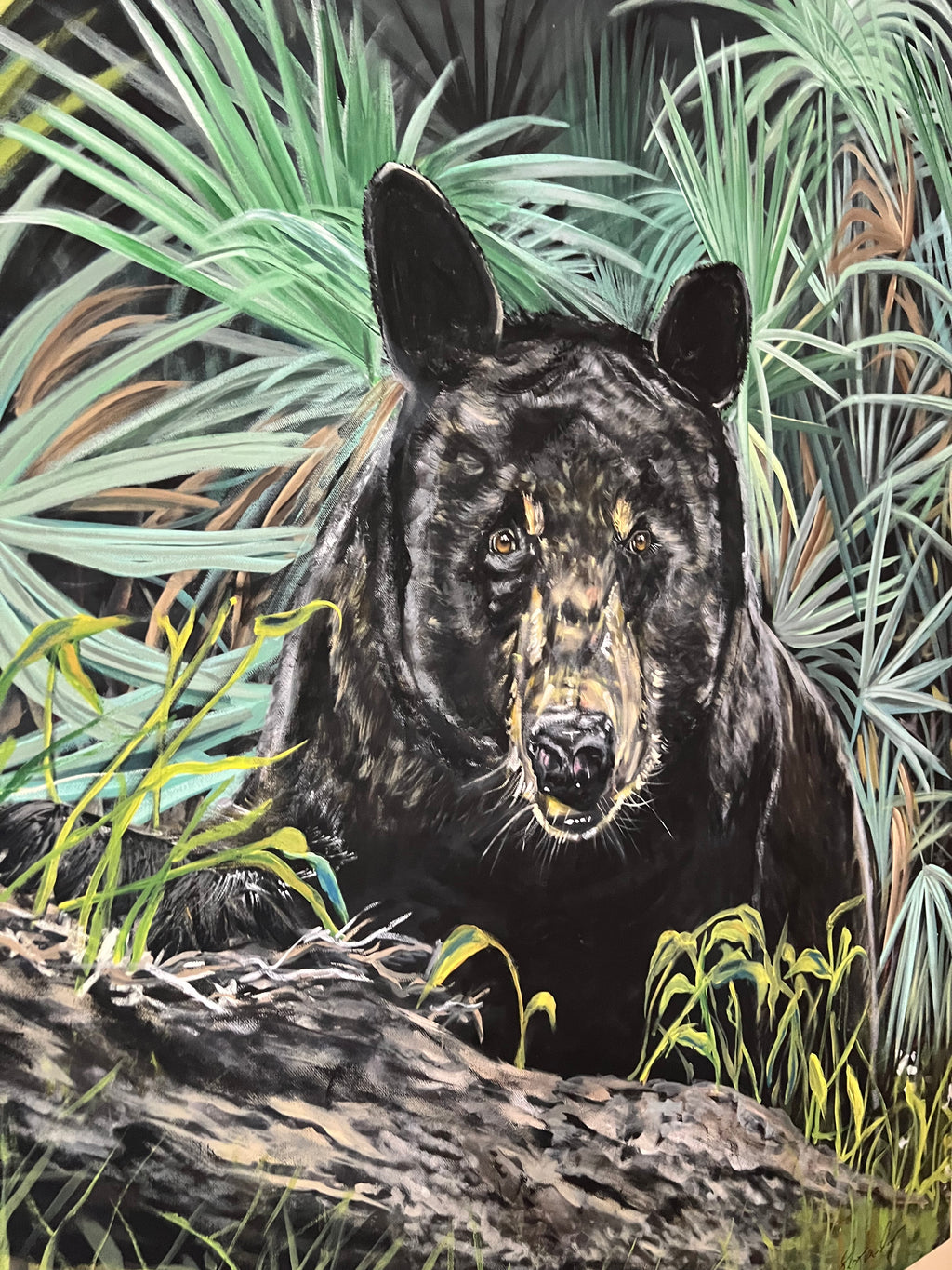 “The Bear”