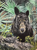 “The Bear”
