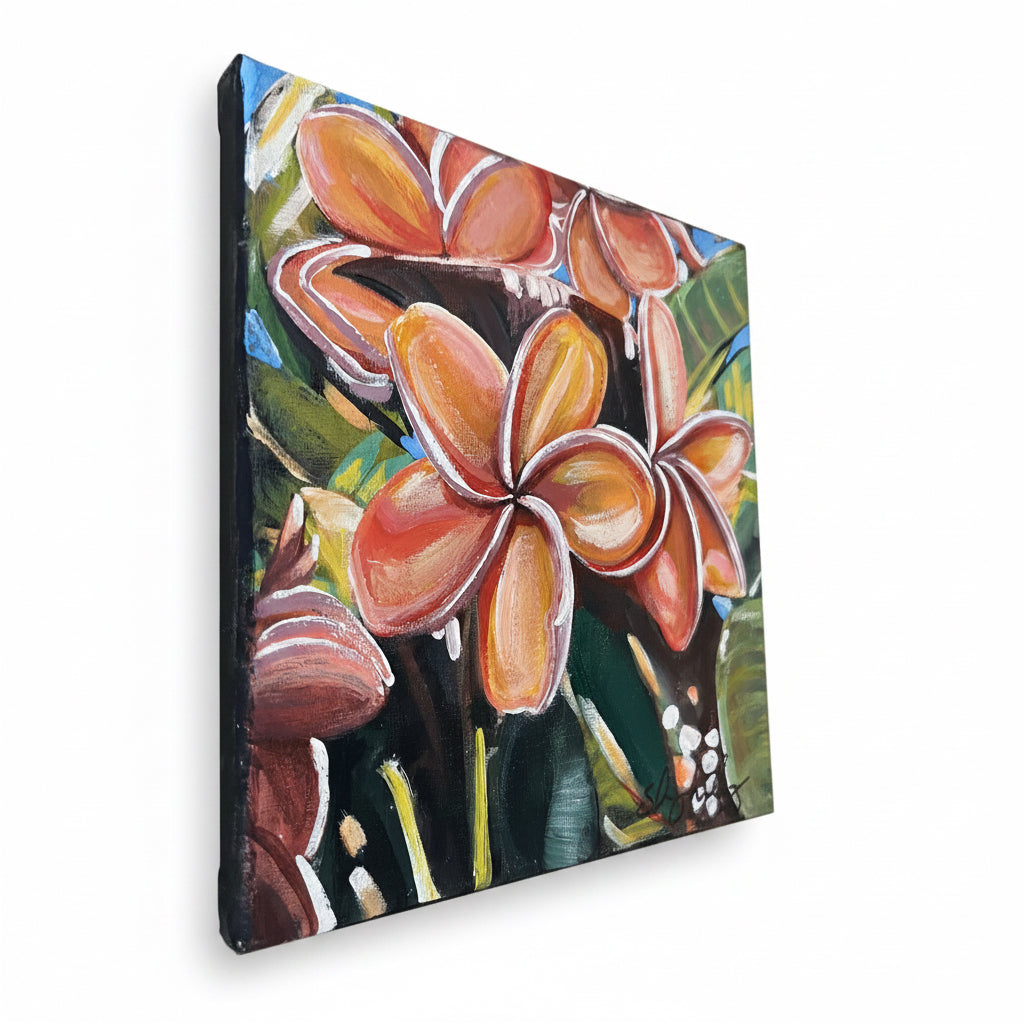 “Plumerias”