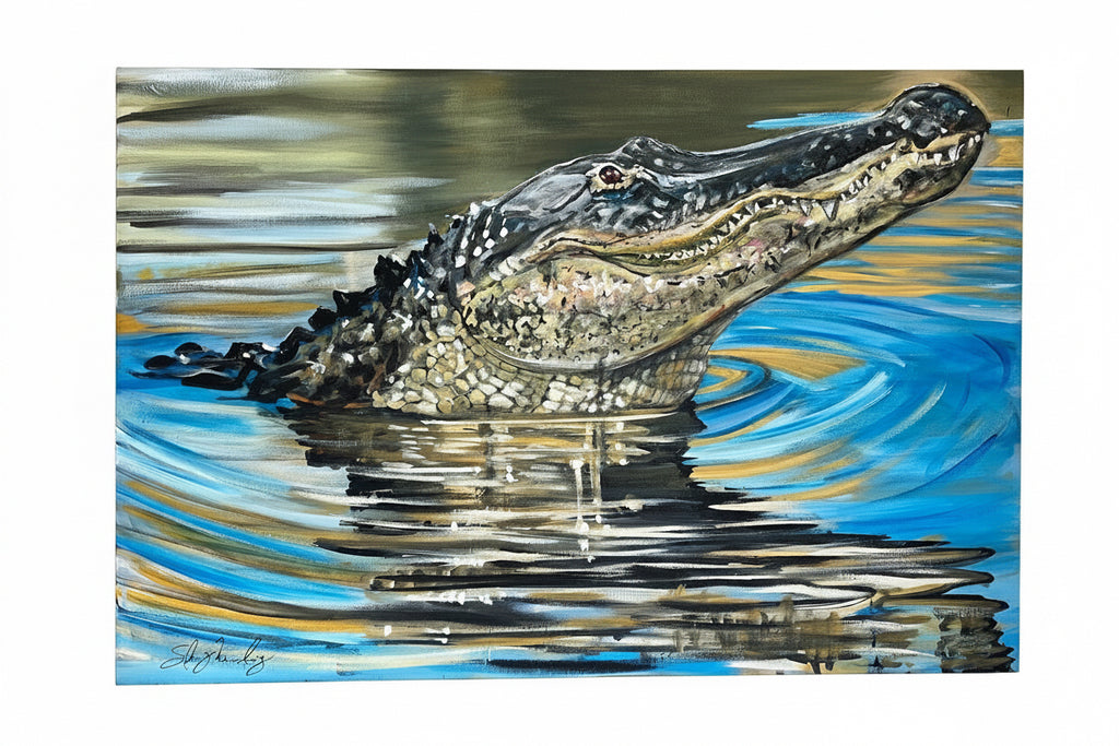 “American Alligator”