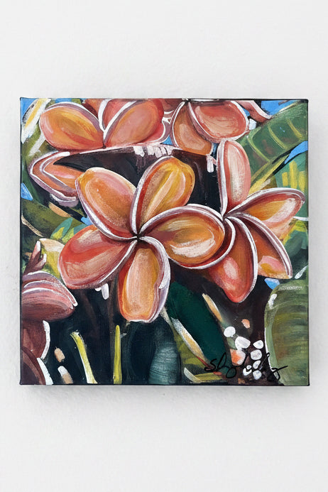 “Plumerias”