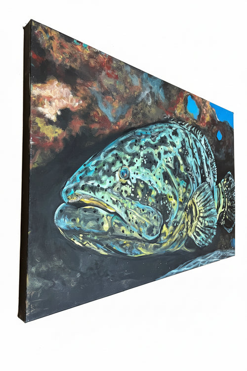 “Goliath Grouper”