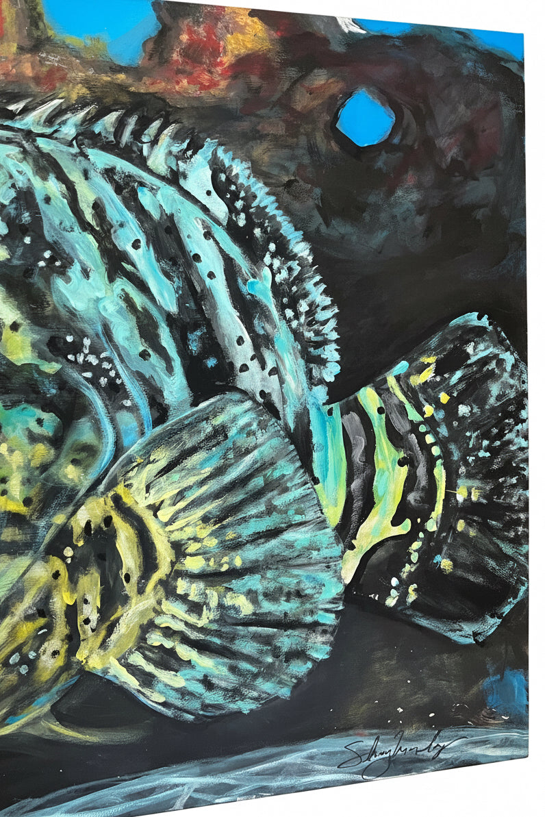 “Goliath Grouper”