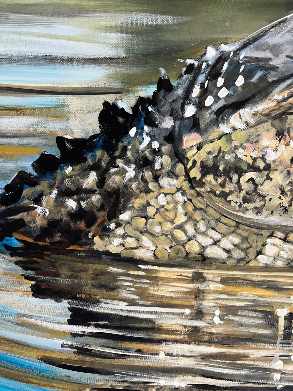 “American Alligator”