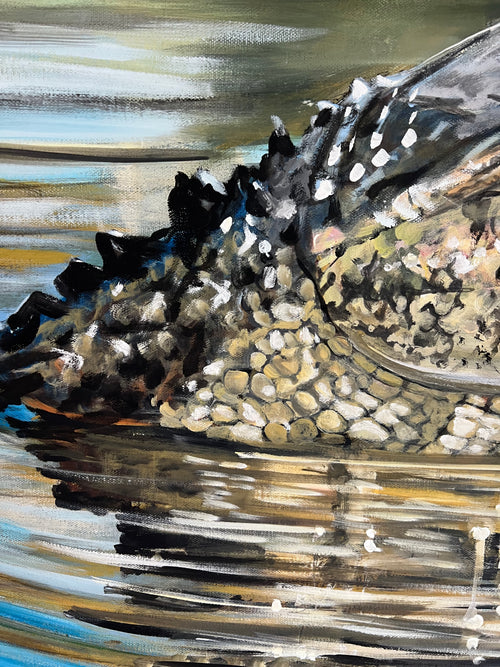 “American Alligator”