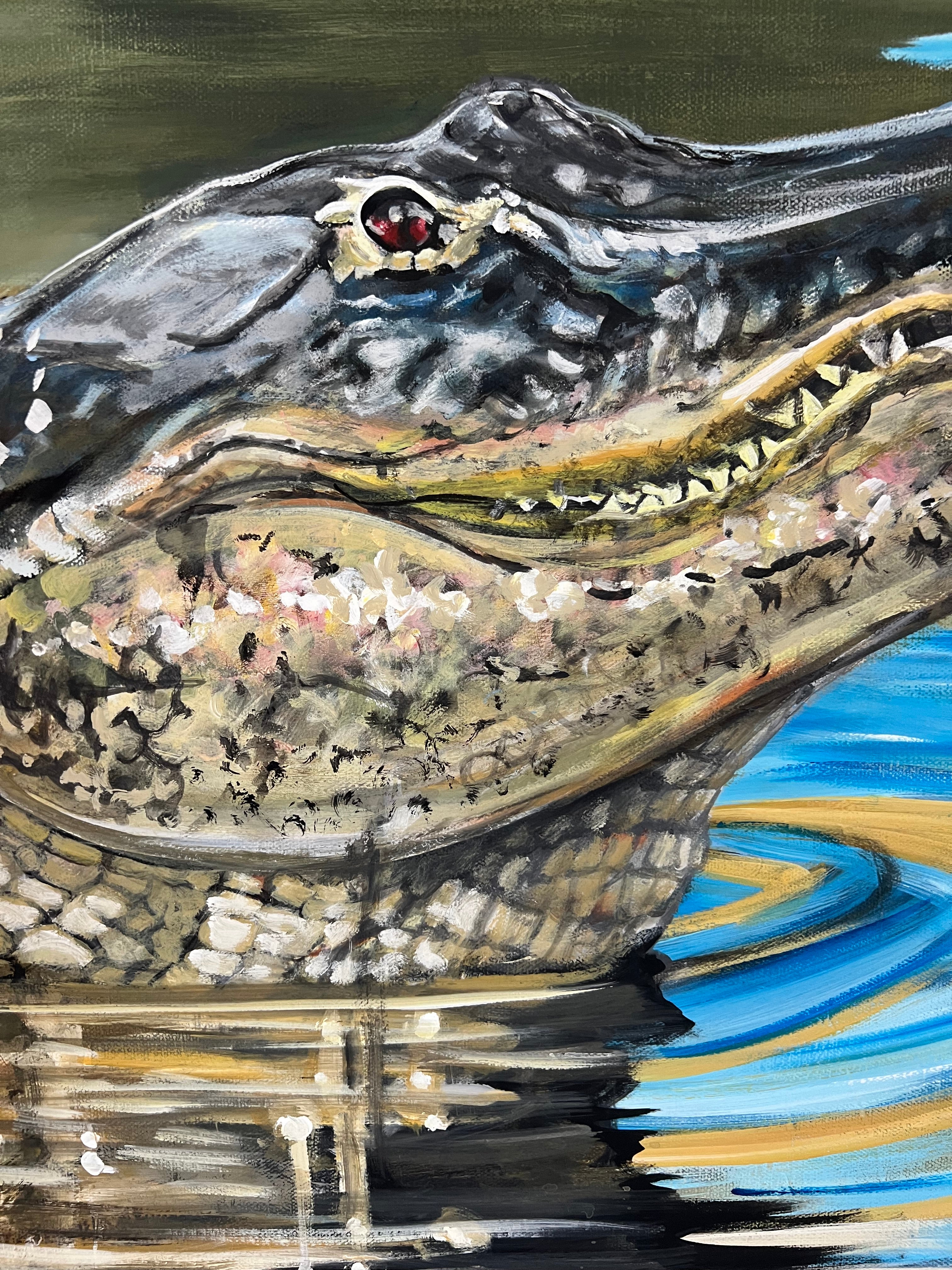“American Alligator”