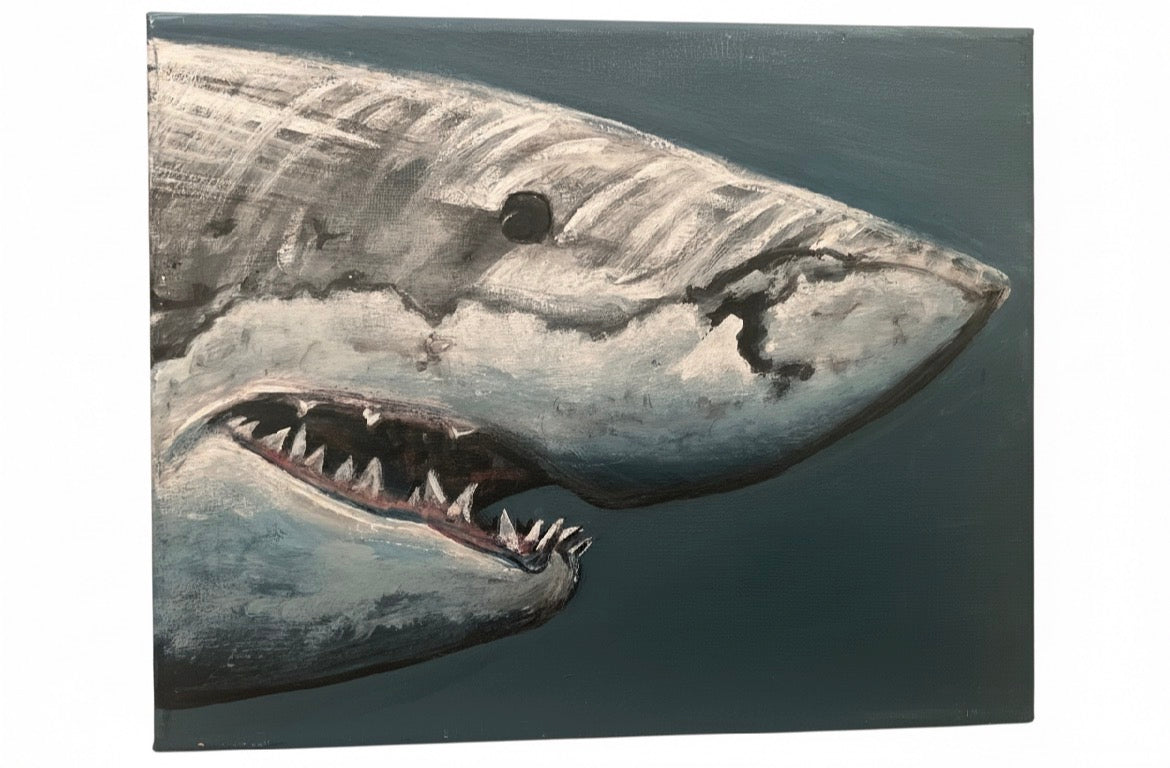 “White Shark”