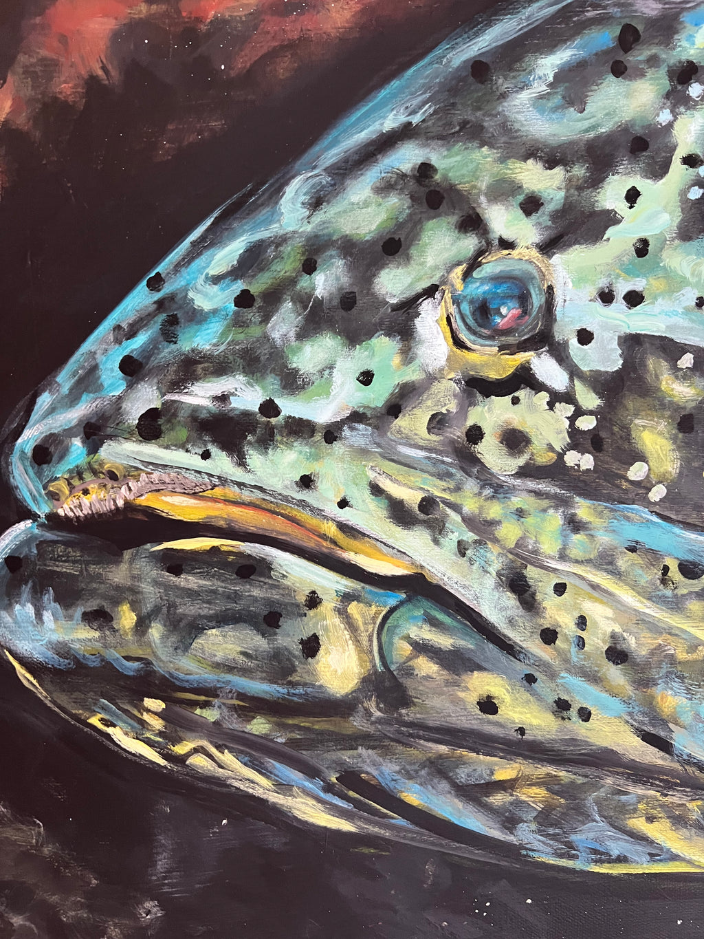 “Goliath Grouper”