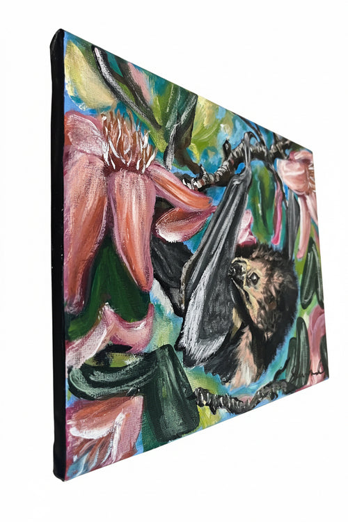 “Fruit Bat”