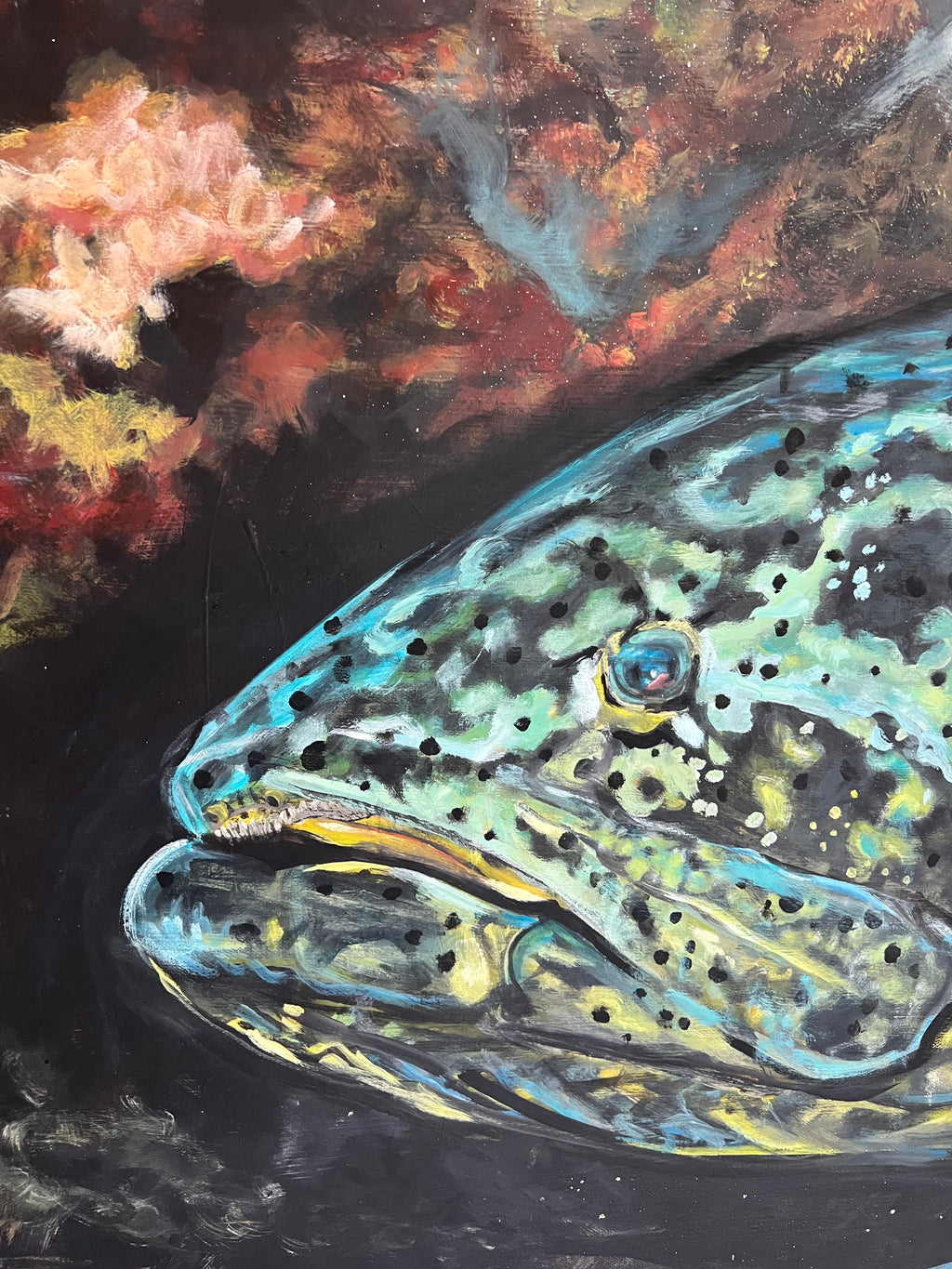 “Goliath Grouper”