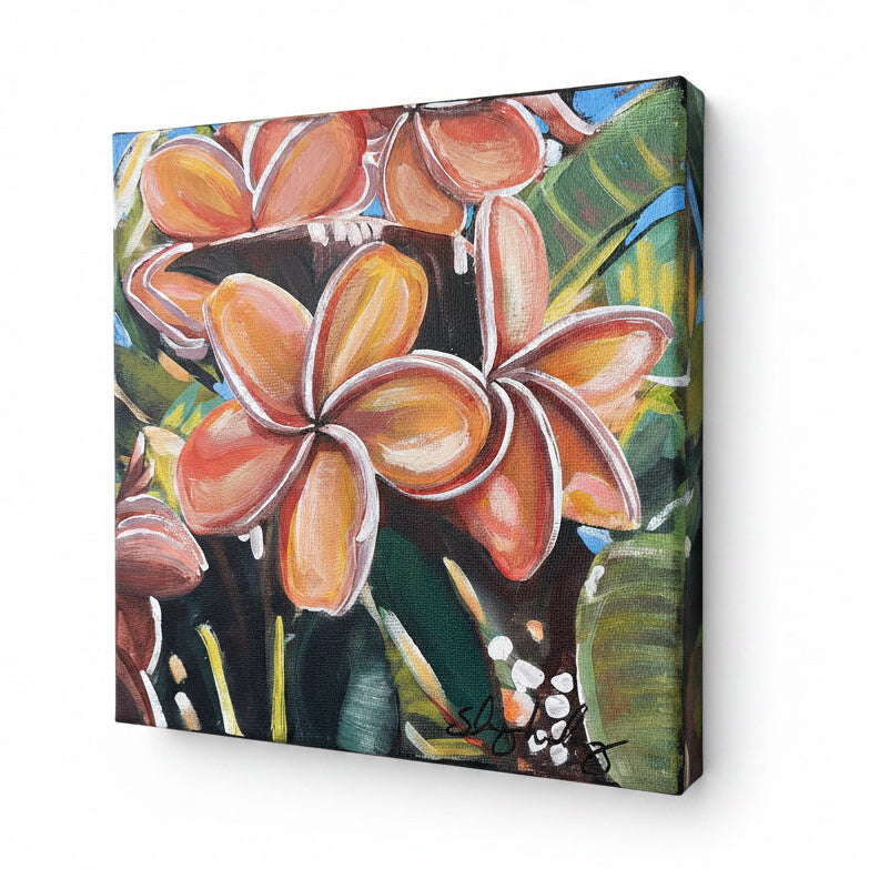 “Plumerias”