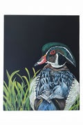 “Wood Duck”