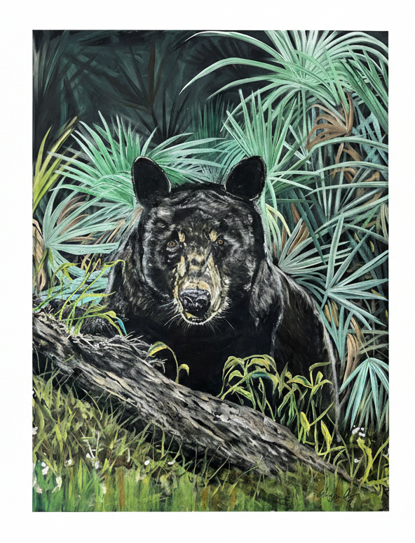 Bear Painting 1 - White Background