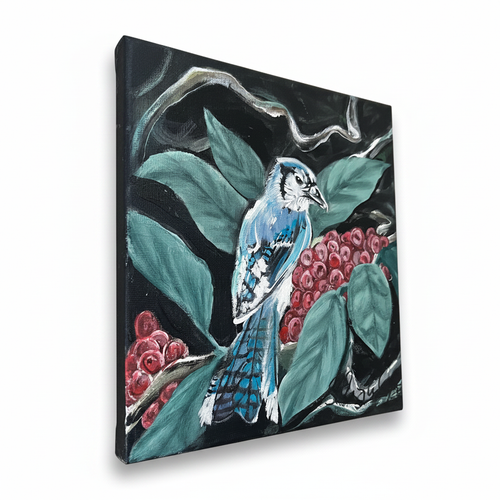 Blue Jay